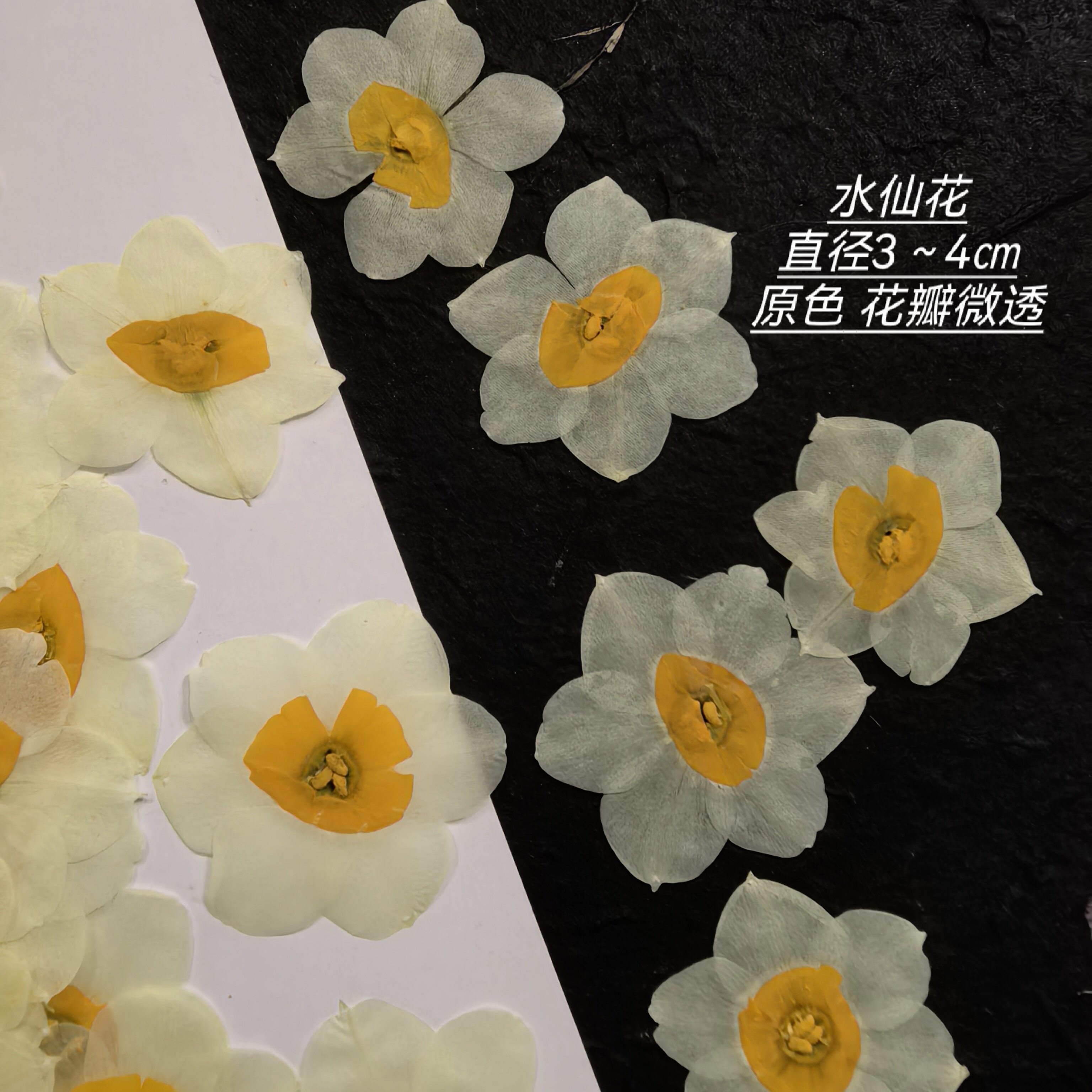 周周押花压花水仙花干花植物标本请柬diy封口ins风滴胶