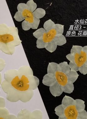 周周押花压花水仙花干花植物标本请柬diy封口ins风滴胶