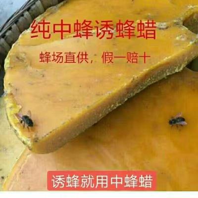 现敲现发诱蜂蜡养蜂工具