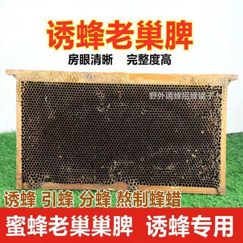 蜂蜡天然老巢脾蜂巢蜜蜂窝新手养蜂工具诱蜂招蜂水引蜂巢础蜂巢素