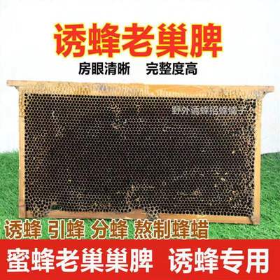 蜂蜡天然老巢脾蜂巢蜜蜂窝新手养蜂工具诱蜂招蜂水引蜂巢础蜂巢素
