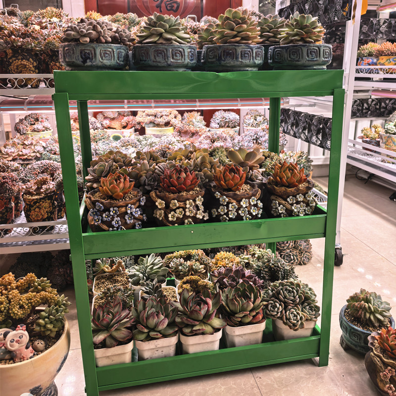 【花含烟】多肉花架浸盆推车书架零食架金属置物架厨房多层收纳架