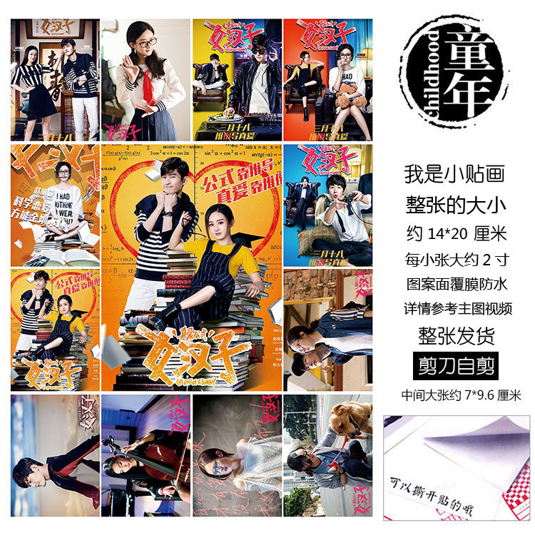 女汉子真爱公式贴纸贴画不干胶本子贴何修舞叶思逸赵丽颖张翰