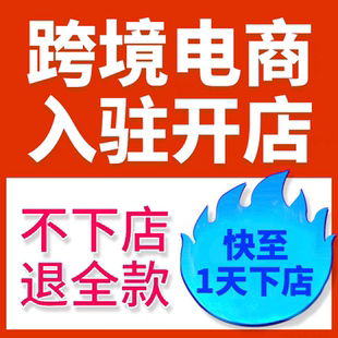 东南亚运营课程零基础初中高级开店店铺装修后台操作视频教程