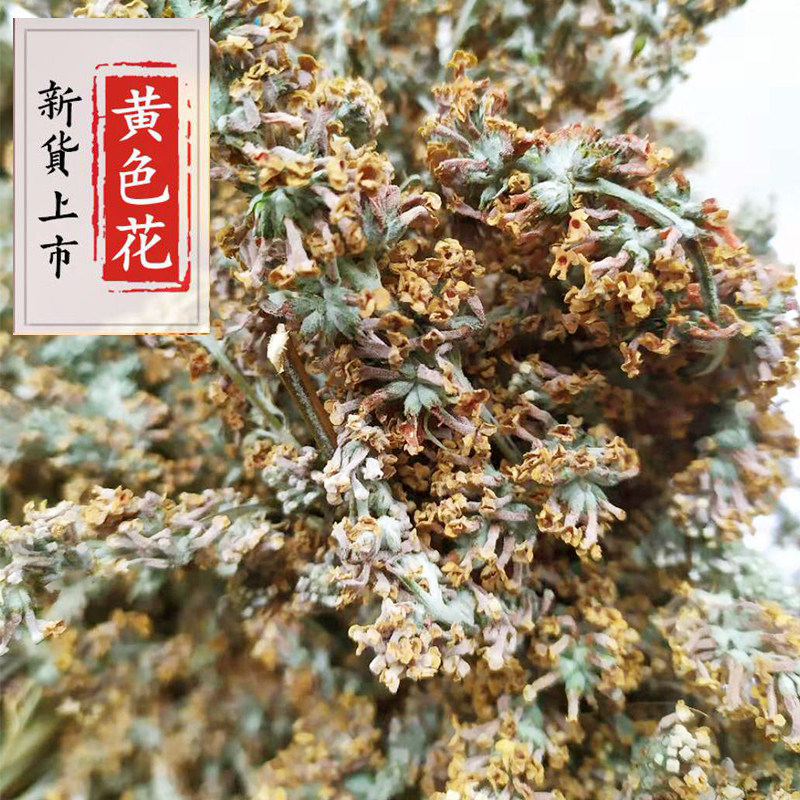 2022黄饭花野生密蒙花新鲜花迈花麦五色糯米饭染料染饭花50g包邮