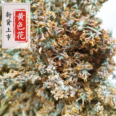 密蒙花新鲜五色糯米饭染料包邮