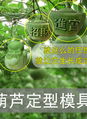 葫芦生长定型范制艺术葫芦模具迷你手捻亚腰葫芦模具套模模具模子