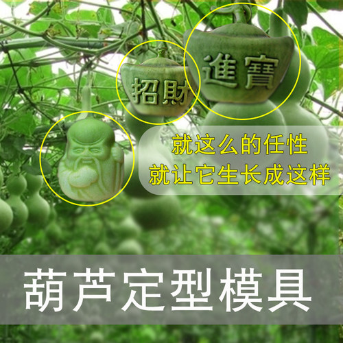 葫芦生长定型范制艺术葫芦模具迷你手捻亚腰葫芦模具套模模具模子
