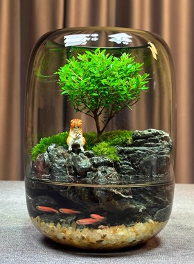 【年年有鱼】创意苔藓微景观办公室生态缸鱼缸桌面生态瓶摆件成品