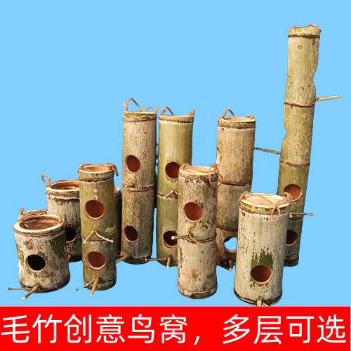 毛竹鸟窝麻雀贝子窝原生态可悬挂