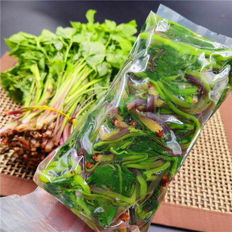 东北野菜大叶芹新鲜冷冻山芹菜旱芹菜炒肉凉拌包饺子产地发货