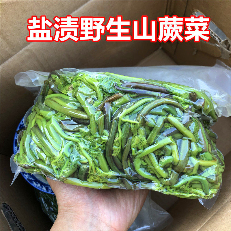 长白山新鲜旱蕨菜盐渍野菜青厥菜其它