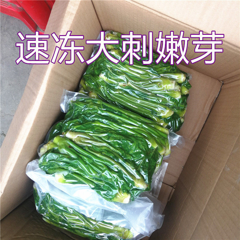 长白山冷冻野菜新鲜刺老芽大菜刺嫩芽刺龙芽做馅炒鸡蛋4斤装包邮