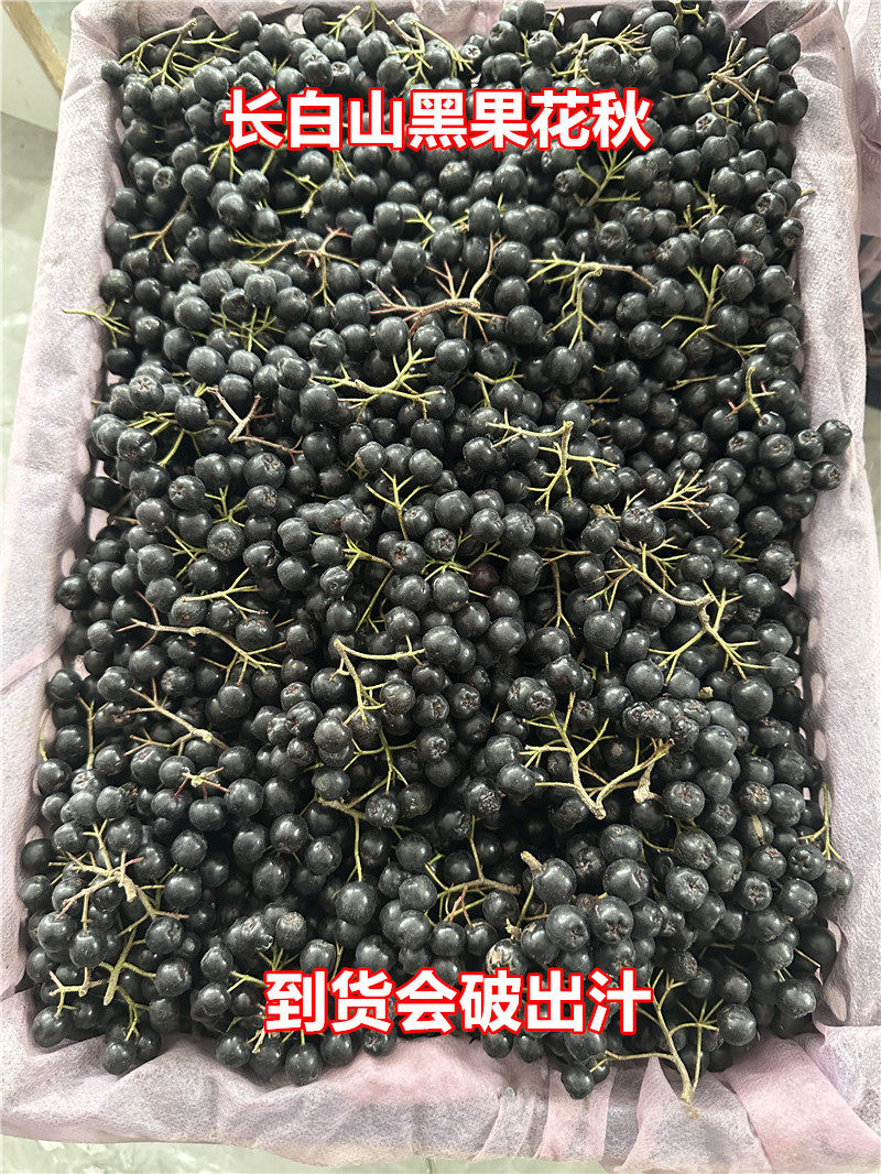 长白山新鲜冷冻半干黑果花楸富含花青素产地发货泡酒果做酵素泡水