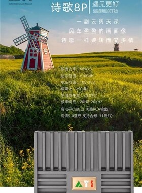 意大利ATI诗歌8P DSP江波汽车音响改装店 dsp功放 大功率