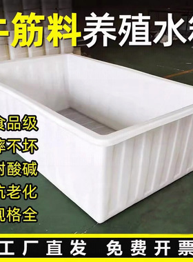 大号加厚牛筋塑料水箱长方形养殖箱专用方桶养鱼浅盆塑料桶周转箱
