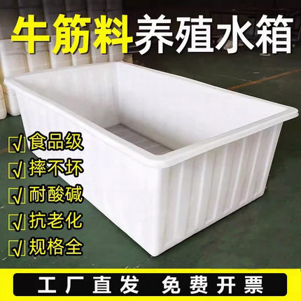 大号加厚牛筋塑料水箱长方形养殖箱专用方桶养鱼浅盆塑料桶周转箱