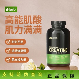 ON奥普帝蒙 绿标纯肌酸粉运动健身补剂 一水肌酸肌肉强化 300g/瓶