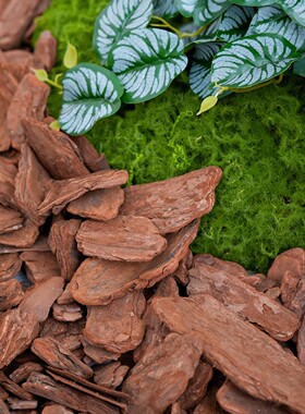 天然松树皮造景装饰绿植