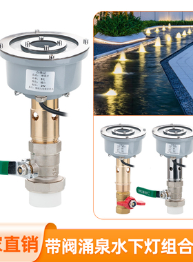 景观喷泉喷头涌泉水底灯 LED防水暖光七彩变色灯水景旱喷鼓泡中孔