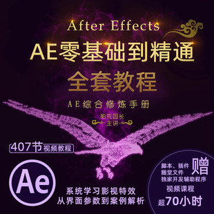 Effects中文视频课程 AE教程 AE综合修炼手册 After 帕克园长