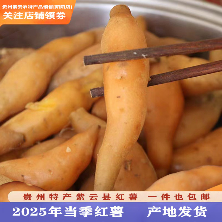 贵州特产紫云县红薯香甜黄皮黄肉番薯地瓜红苕山芋拇指迷你小香薯