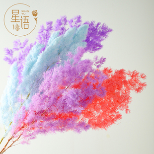 星语 永生花蓬莱松干花diy材料高级轻奢家居摆件仿真花插花鲜花