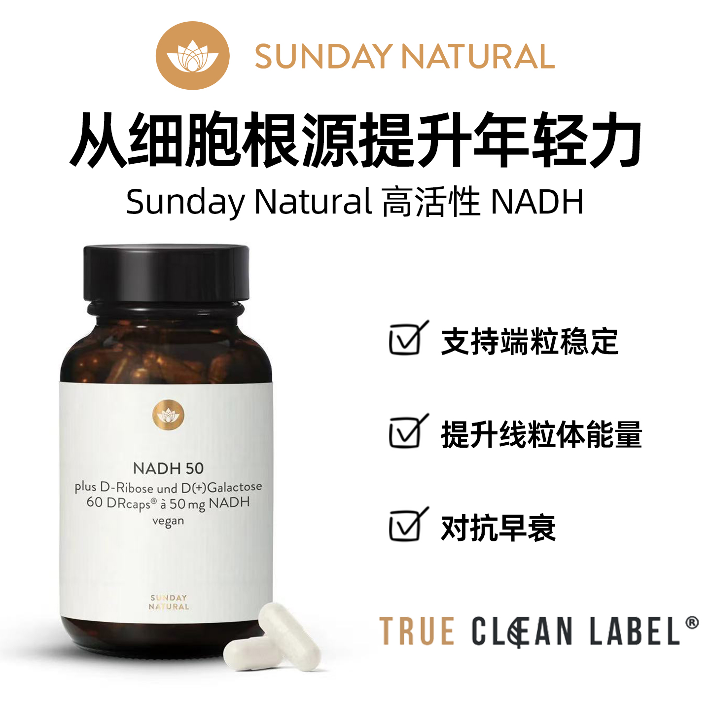 Sundaynature法国直邮药房NADH50mg线粒体年轻力好睡眠自愈力气色