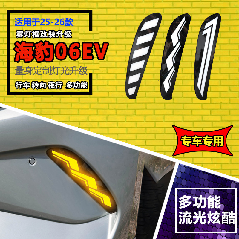 25-26款海豹06EV改装日行灯