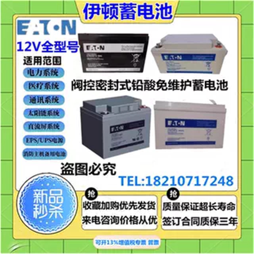 伊顿蓄电池NP/ETNHW/12V100AH65A50A55A38A24A17A12A9A7A消防应急