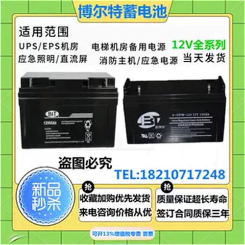 博尔特蓄电池12V100AH65AH38AH24A17A12A7A直流屏机房后备UPS电源