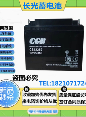 CGB武汉长光蓄电池CB12250消防主机12V25AH直流屏机房后备UPS电源