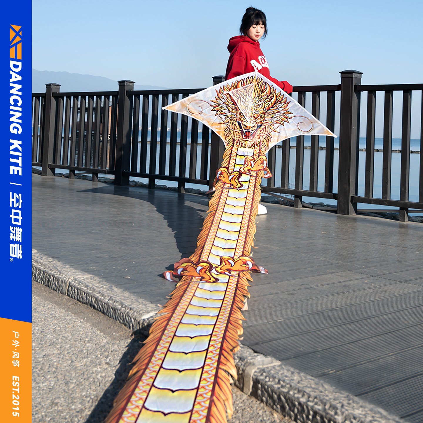 2025新款风筝网红卡通金龙高档微风易飞手持儿童大人专用高档国潮