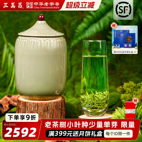 头采新茶三万昌碧螺春明前特级