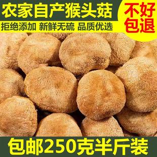 猴头菇干货新东北可打养胃粉纯补品食品长白山猴头菌煲汤猴菇