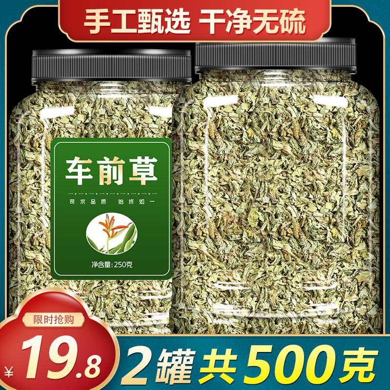 车前草新鲜中药材干货袋