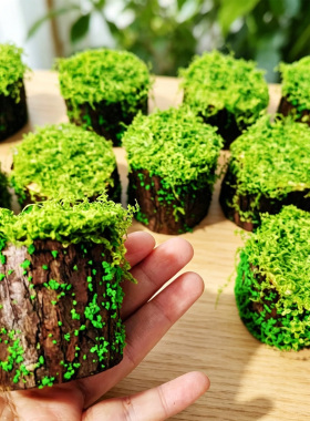 仿真苔藓树桩盆景布景装饰摆件森系仿真插花绿植造景庭院景观盆栽