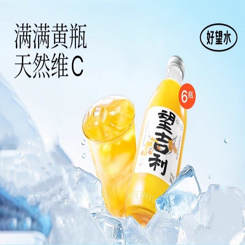 好望水望吉利果汁果味饮料气泡水沙棘百香果汁风味饮料300ml*6瓶,咖啡/麦片/冲饮,果醋饮料,淘宝优惠券,粉丝福利购,淘宝优惠卷