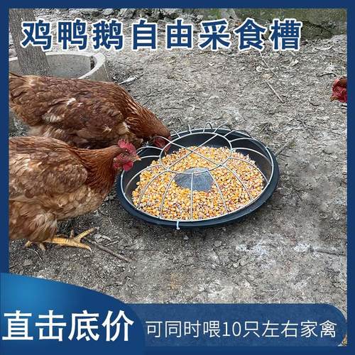 鸡鸭鹅料槽家禽喂食槽新款圆形长方形干湿两用补料槽