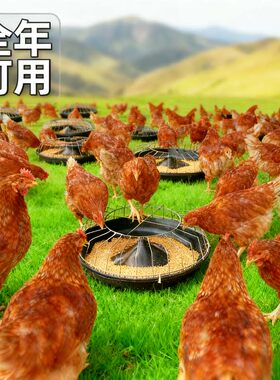 鸡食槽散养神器鸡鸭鹅通用喂料盆自动喂食器圆形聚丙烯饲料槽