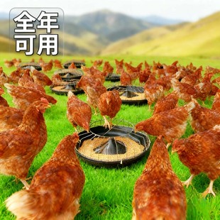 鸡食槽散养神器鸡鸭鹅通用喂料盆自动喂食器圆形聚丙烯饲料槽