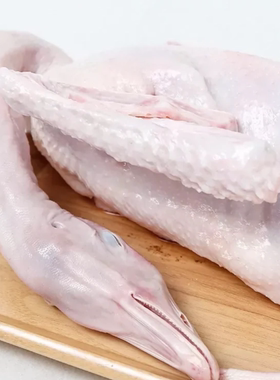 广州发货新鲜朗德鹅肉约7斤无掌翅一个用于烧鹅卤鹅玉米喂养