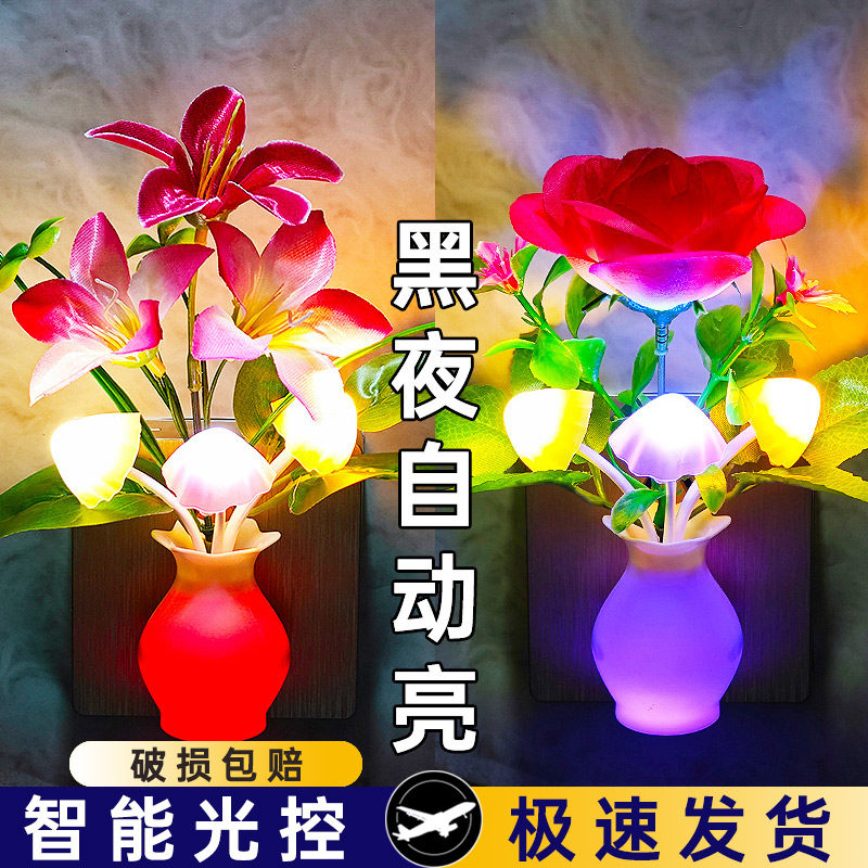 黑夜自动亮 插电节能光控感应 LED小夜灯房间夜光灯七彩变色壁
