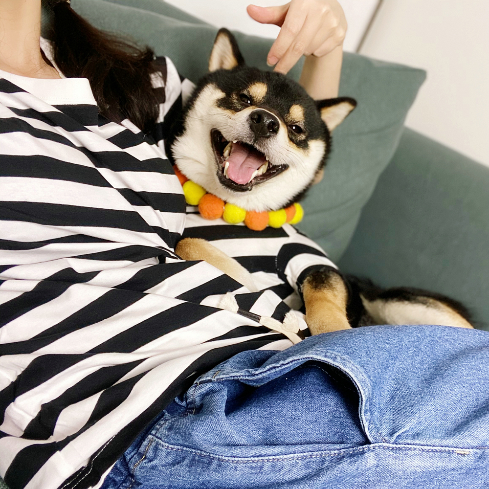 PM原创宠物亲子装柴犬短袖小猫狗主人衣服黑白条纹T恤全棉夏装