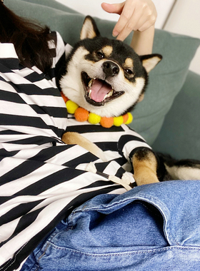 PM原创宠物亲子装柴犬短袖小猫狗主人衣服黑白条纹T恤全棉夏装