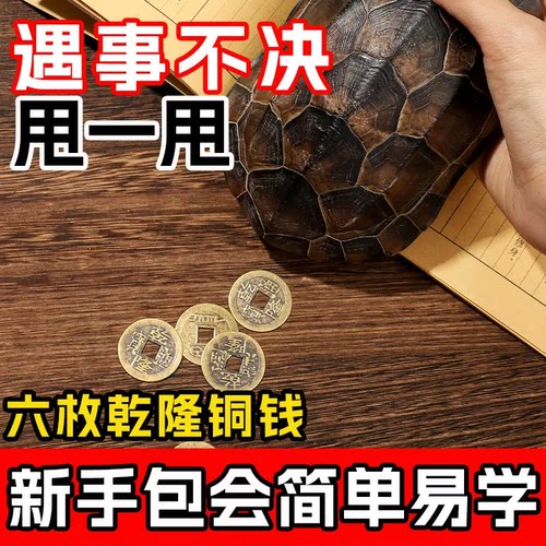 天然真乌龟壳真龟甲文