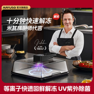 KAYUSO极速回鲜解冻器厨