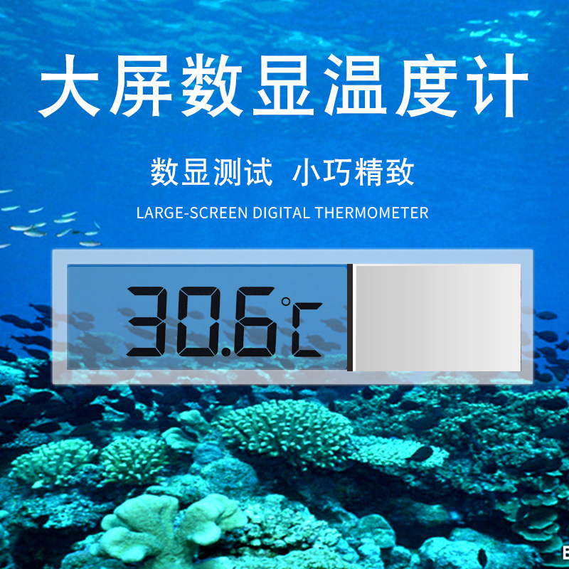 鱼缸温度计测水温电子数显温度表