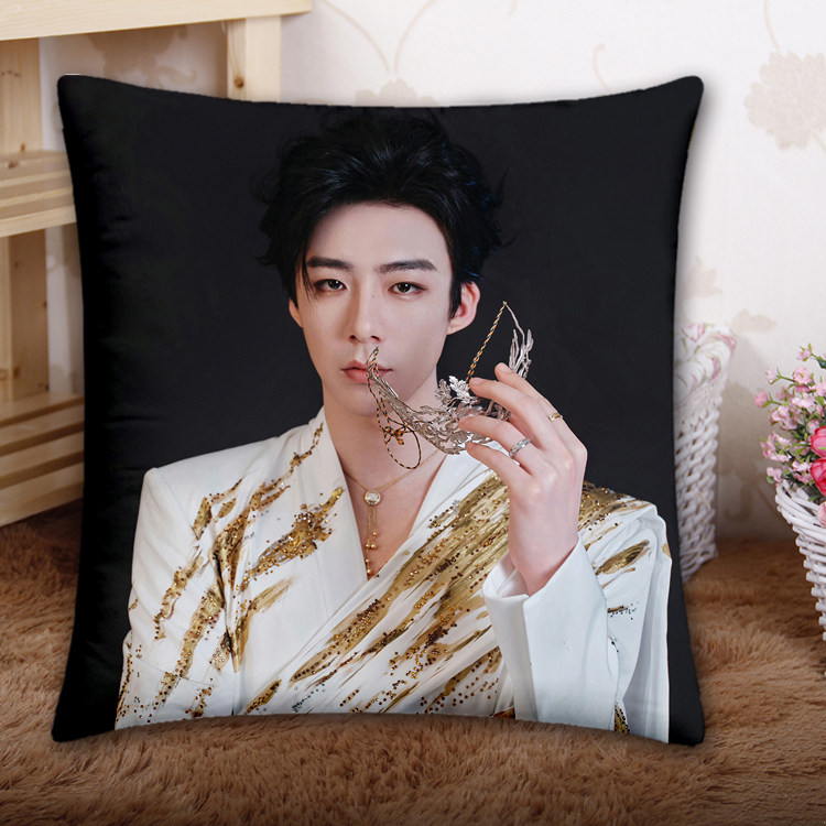 来图定制刘宇宁抱枕魏邵南珩办公腰垫车载靠背演唱会应援周边礼物