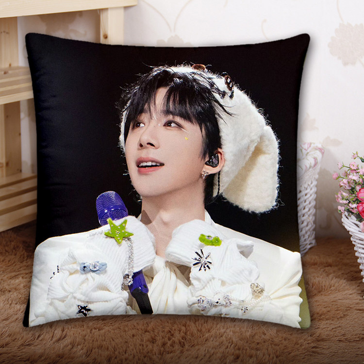 来图定制刘宇宁抱枕魏邵南珩办公腰垫车载靠背演唱会应援周边礼物,居家布艺,靠垫/抱枕,淘宝优惠券,粉丝福利购,淘宝优惠卷